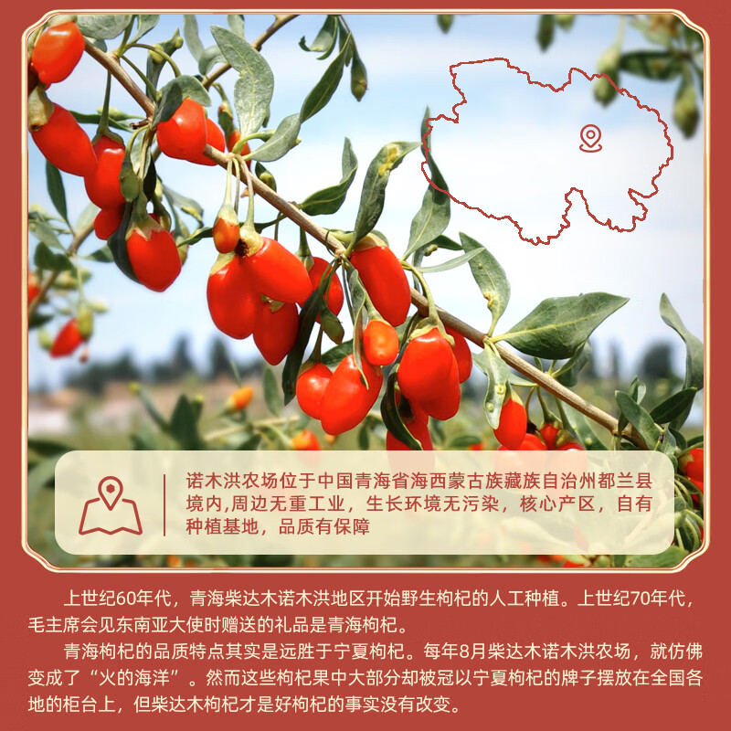 伊禧堂特优级红枸杞宁夏枸杞250g头茬无熏硫免洗送礼送长辈 特优级红枸杞500g 250g*2罐