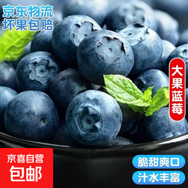 云南国产超大果蓝莓【多地次日达JD快递】 精选孕妇水果新鲜蓝莓 4盒装 多买多划算【70-90g/盒】 中果【单果15mm+】