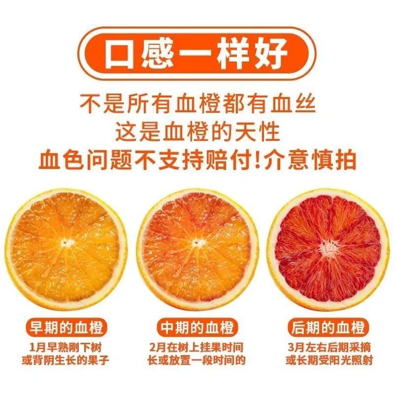 京农超现摘果冻血橙甜橙子当季新鲜孕妇水果红橙子塔罗科血橙橘桔子整箱 精品装5斤净重4.5斤【大果65-70mm】