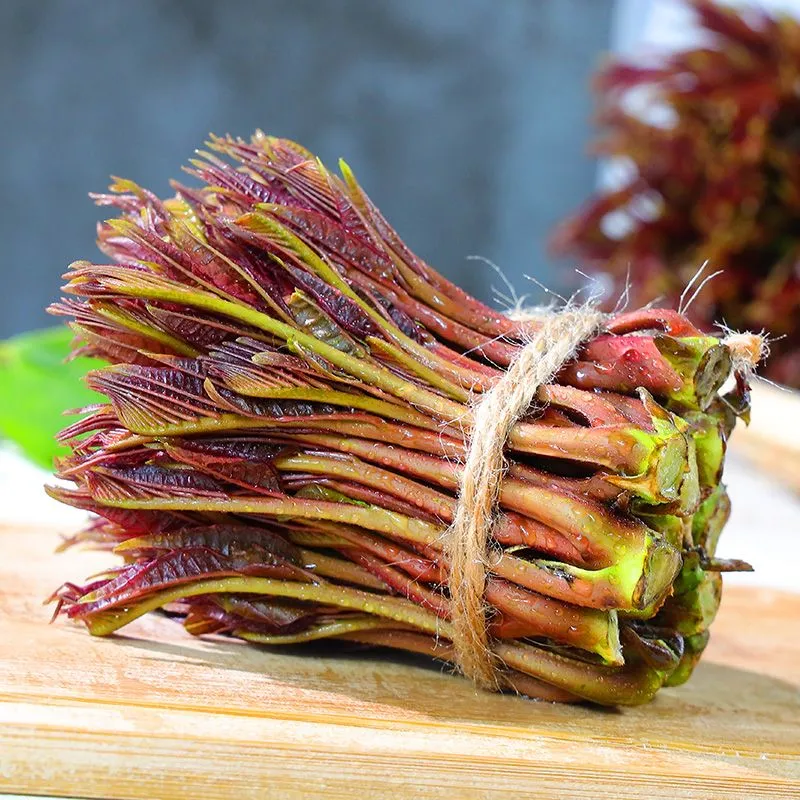 野生香椿芽嫩芽现摘新鲜头茬四川特产正宗香椿头露天春芽应季蔬菜 高效冰袋保鲜(比大棚香椿香9倍 2斤