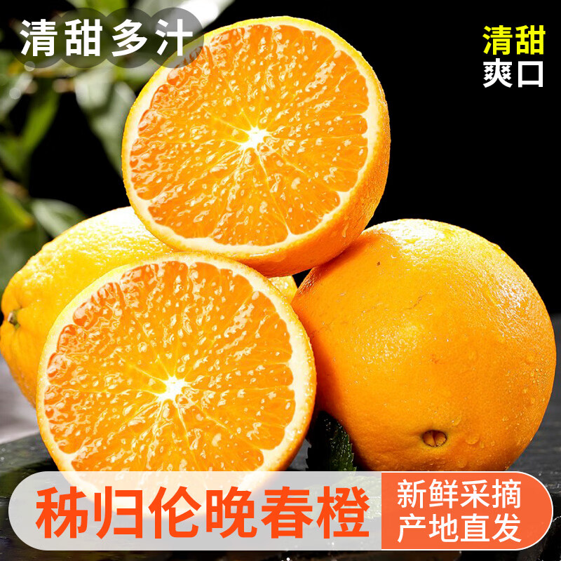 秭归伦晚春橙脐橙冰糖橙子果园直采精品当季新鲜水果大果破损包赔 果园直采-产地发货（果径70-75）净重9斤