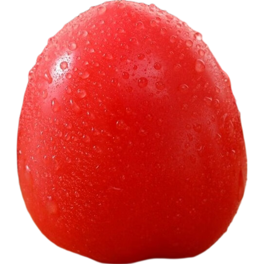 ��ɭ���� ʥŮ�� ǧ��С���� �ӵ�ͷ 5����� ���� 16.8Ԫ�������������