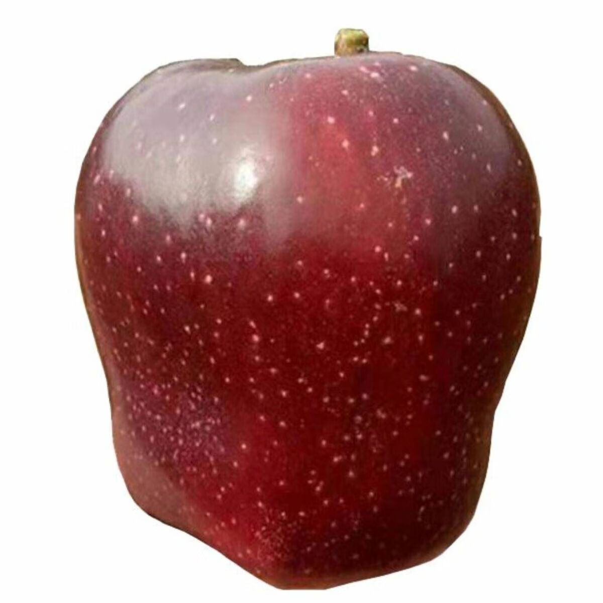 鲜甘肃水牛苹果元帅软糯沙粉面香甜红果蛇老人孕妇应季水果 4点5斤 70mm含75mm不含