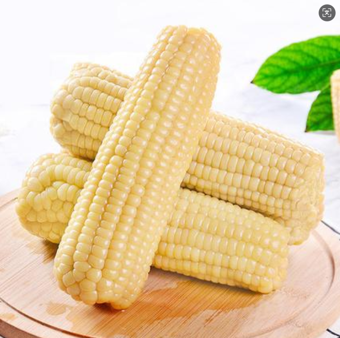 芸芸致实甜加糯东北白糯玉米农科糯336品种280-330g非转基因玉米棒粗粮 十棒