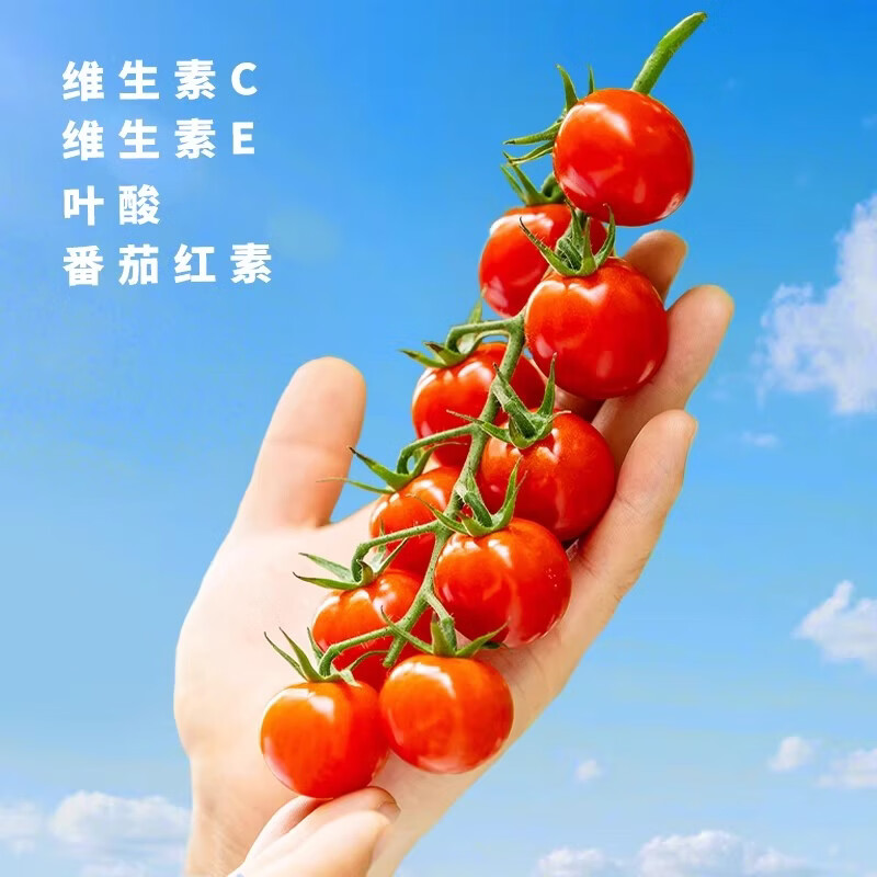 一柿缘串番茄串收樱桃小番茄西红柿新鲜自然熟老味道孕妇生吃柿子 顺丰 精品樱桃串番茄 黄*1箱 1kg 礼盒装