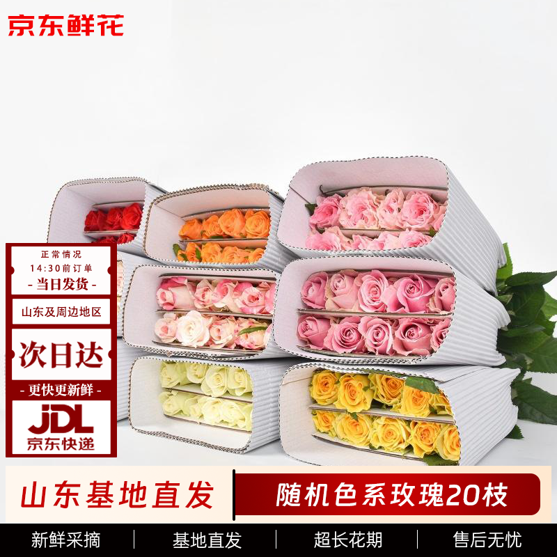 京东鲜花玫瑰花随机20枝鲜切花礼品花新年花年宵花基地现采现发源头直发