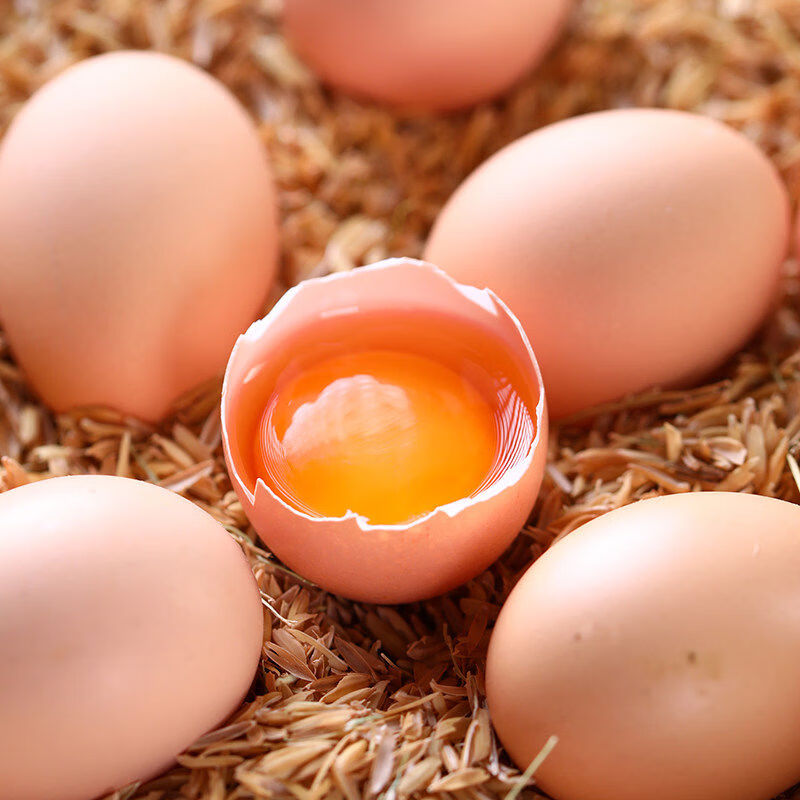 30枚50g精选鸡蛋鲜谷物蛋10枚12枚顺丰 精选个土鸡蛋50g枚顺丰 10枚