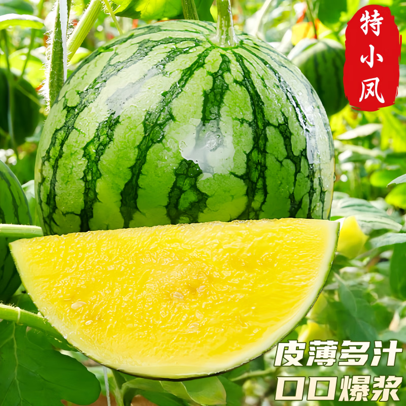 冰淇淋黄心西瓜富硒特小凤西瓜新鲜脆甜黄心皮薄多汁广东当季水果 5-6斤装【果香浓郁 果肉细腻】 京东折扣/优惠券