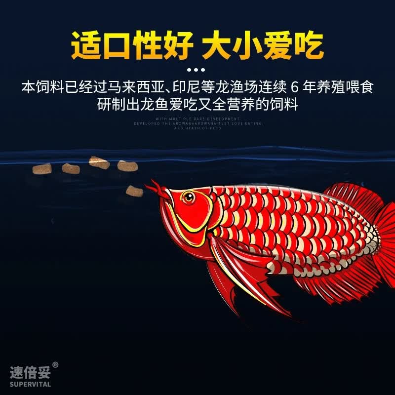 速倍妥龙鱼饲料红龙金龙银龙优质鱼食观赏壮骨增体鱼粮高蛋白颗粒 龙鱼饲料260克(送两包尝鲜)大颗粒适合30以上龙鱼