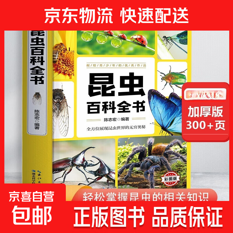 少年儿童百科全书精装儿童科普探索昆虫地理百科学生启蒙读物正版 昆虫百科全书