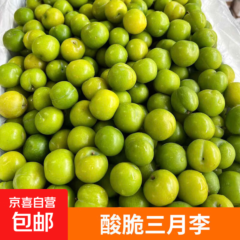 ��������� ������ժ����������Ӧ���и�ˮ������ ����������200g����5-10g 4.9Ԫ