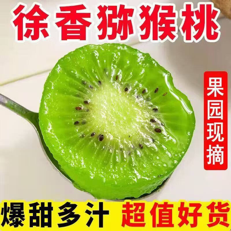 接运猫陕西眉县绿心徐香猕猴桃新鲜5斤装奇异当季孕妇大果整箱礼盒包邮 陕西正宗徐香猕猴桃 陕西正宗徐香猕猴桃20枚【单果100-120克】