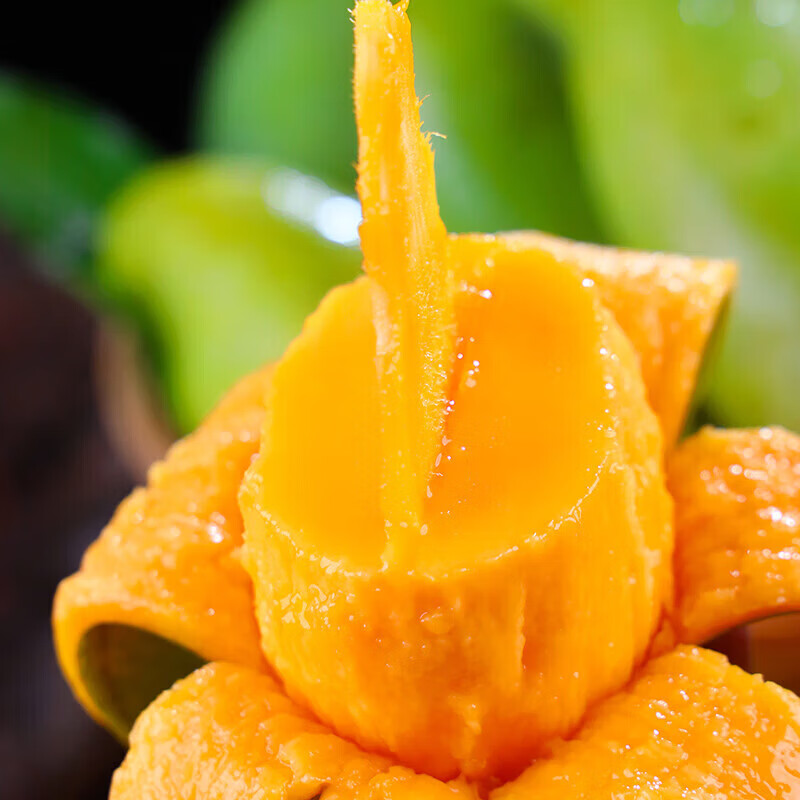 果领队正宗青皮金煌芒现摘青皮金煌【当天发货】甜心大芒果当季孕妇水果 5斤【单果250g+】净重4.5斤