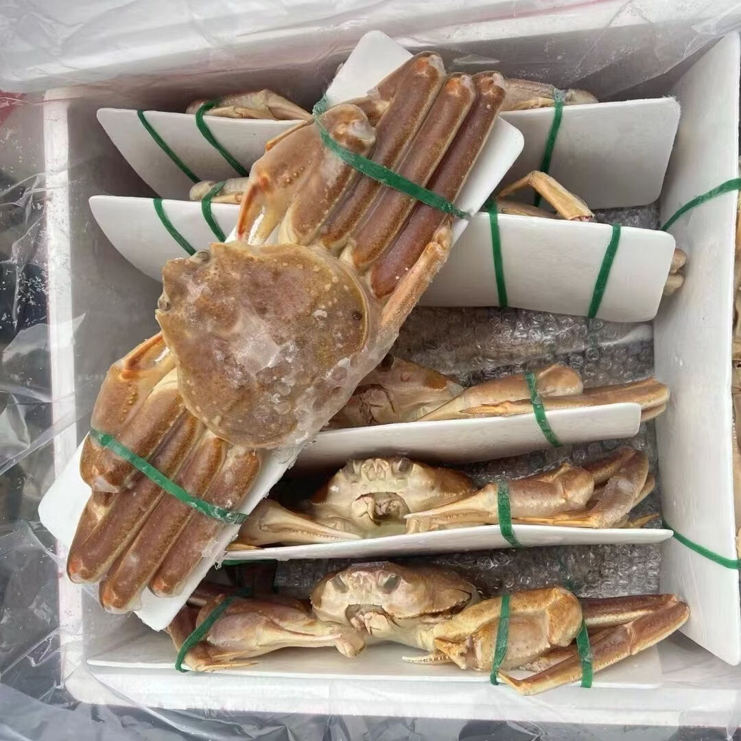 新鲜俄罗斯松叶蟹3斤长脚蟹板蟹雪蟹大帝王蟹活冷冻大面包蟹海鲜 老虎蟹【60-100g/只】*4只