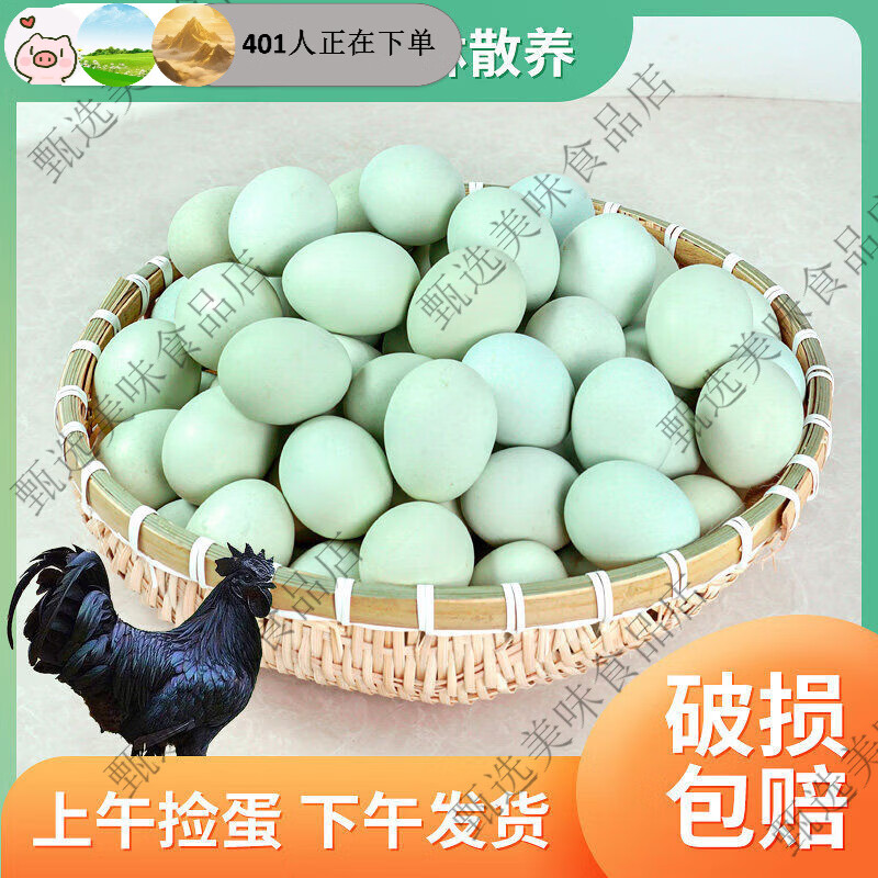 正宗山林散养全绿妇月子草鸡蛋乌鸡蛋玉喂养4050码整箱 20枚