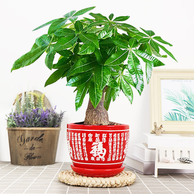 ʹ󷢲ֲڿļв׮մɵͺ ŷ츣մ裩 #28