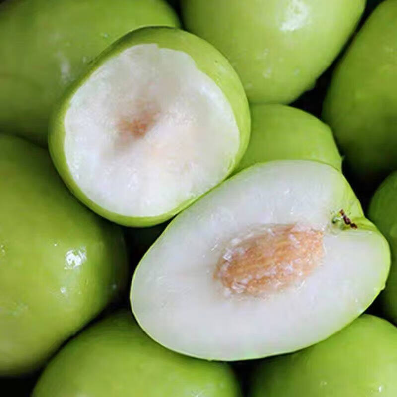 果优港广西大青枣牛奶脆枣2026大酥贵妃新鲜冬枣脆甜应季蜜枣水果 5斤（50g以上/颗）顺丰配送