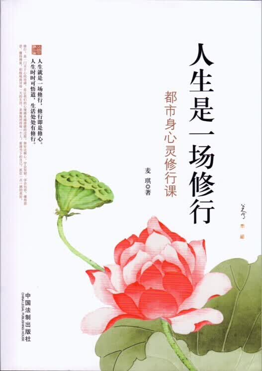 人生是一场修行 麦琪【正版】