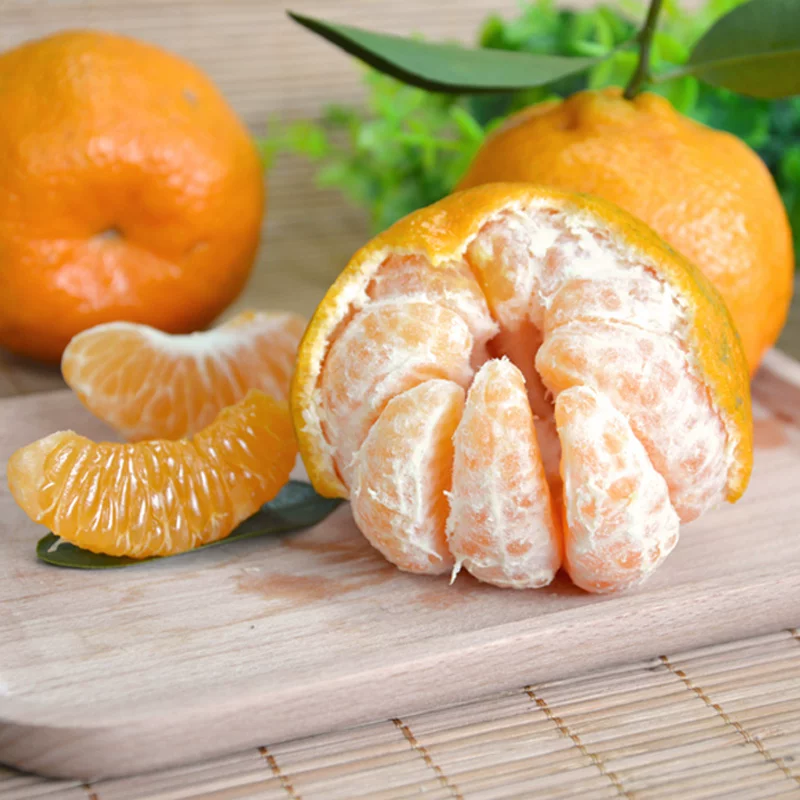 uncle lemon四川芦柑椪柑橘子新鲜柑橘老树品种带籽应当季孕妇水果新鲜现摘 中果(60-65g) 5斤