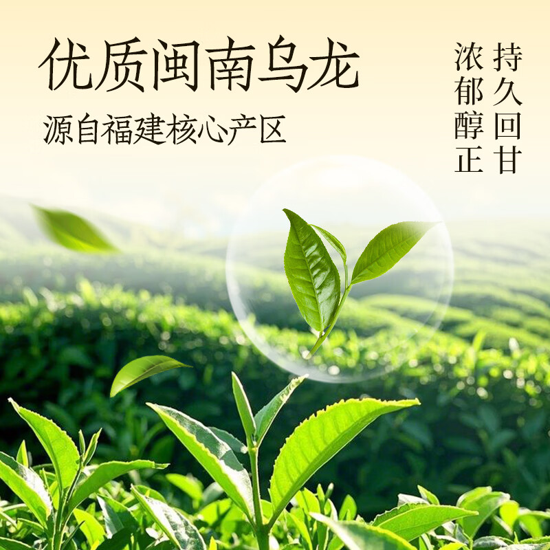 轻上（LIGHT UPPER）100%椰子水含天然电解质椰水非浓缩还原饮料 白桦树乌龙茶600ml*6瓶