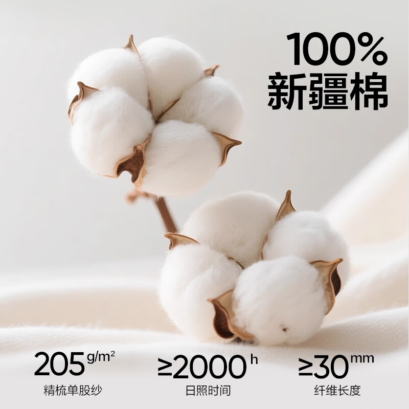 网易严选26新品10A抗菌纯棉短袖T恤新疆棉内搭圆领男女同款 短袖款-质感黑 【棉柔T3.0升级】 L