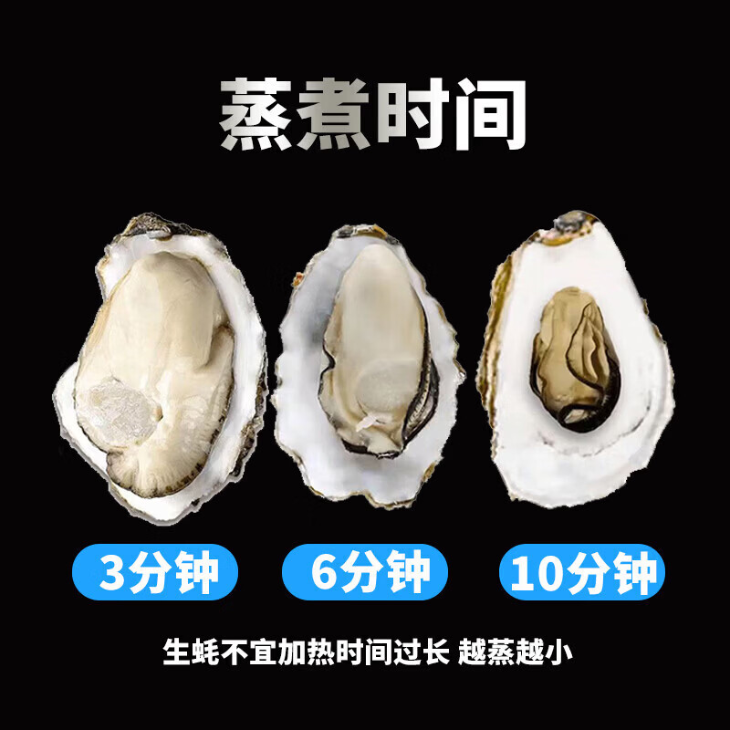 鲜活乳山生蚝新鲜正宗乳山牡蛎海蛎鲜活牡蛎海鲜贝类净重5斤/10斤 3XL中蚝(7-15只)净重5斤