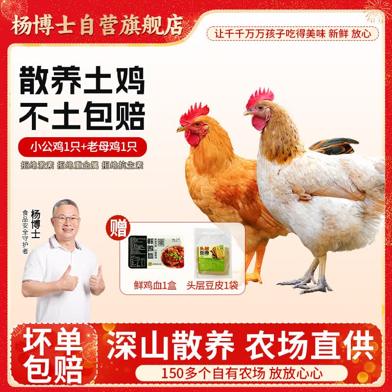 杨博士皖南散养土鸡2只 净重2.6斤 生鲜鸡肉(老母鸡+仔公鸡)源头直发