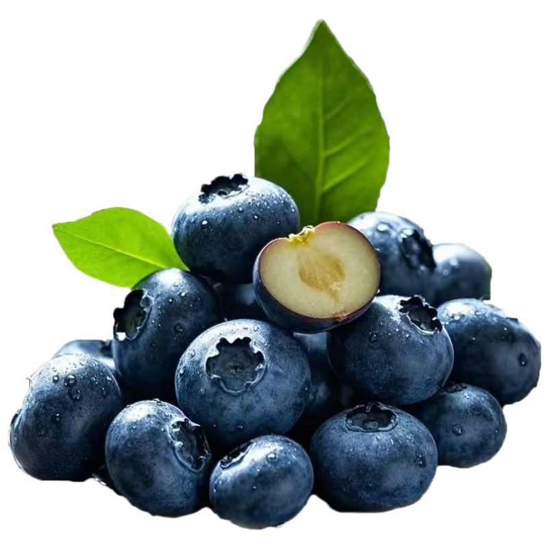 京觅大凉山高原雪山 甜花香蓝莓8盒单果15mm+ 净重100g/盒 源头直发