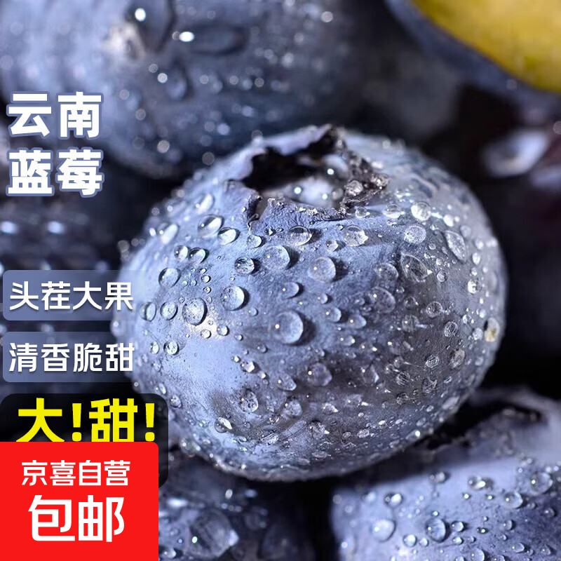 云南高山蓝莓特大果头茬鲜果新鲜蓝莓水果当应季自带花香整箱脆甜 品质中果【单果15mm+】 4盒小份装【70g/盒】
