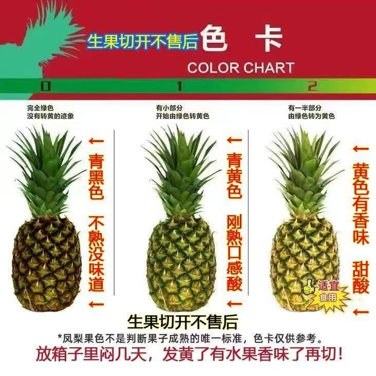 庾丰云南西双版纳黑钻凤梨 当季热带新鲜水果 5斤装 约2-3粒 净重4.5斤