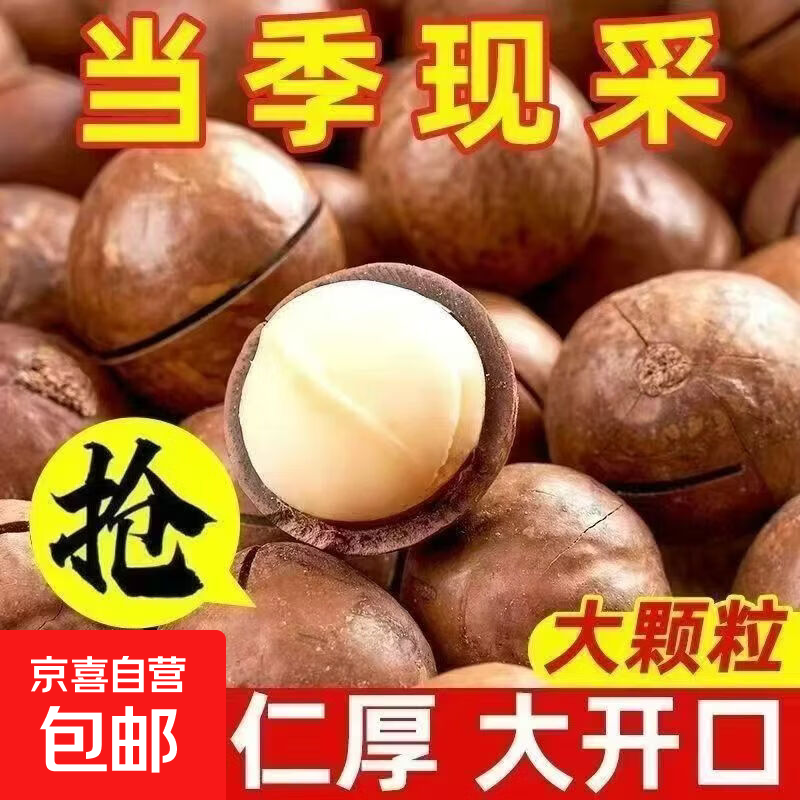 云南特大粒夏威夷果 精心筛选超大果仁完整无碎 自然晾晒保留原香 甄选500g奶香味夏威夷果(15-21mm)