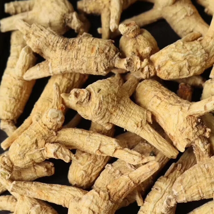 OO-UMAI(加拿大西洋参)足五年花旗参大货修的:下特大枝大节:252克起 252g*1罐 切片