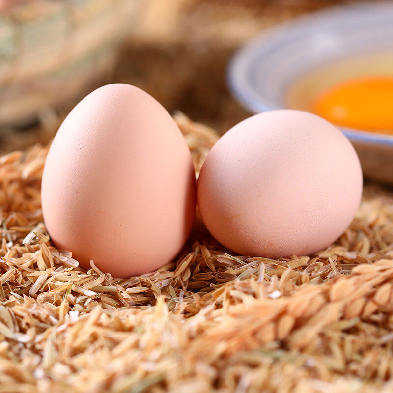 30枚50g精选鸡蛋鲜谷物蛋10枚12枚顺丰 精选个土鸡蛋50g枚顺丰 10枚