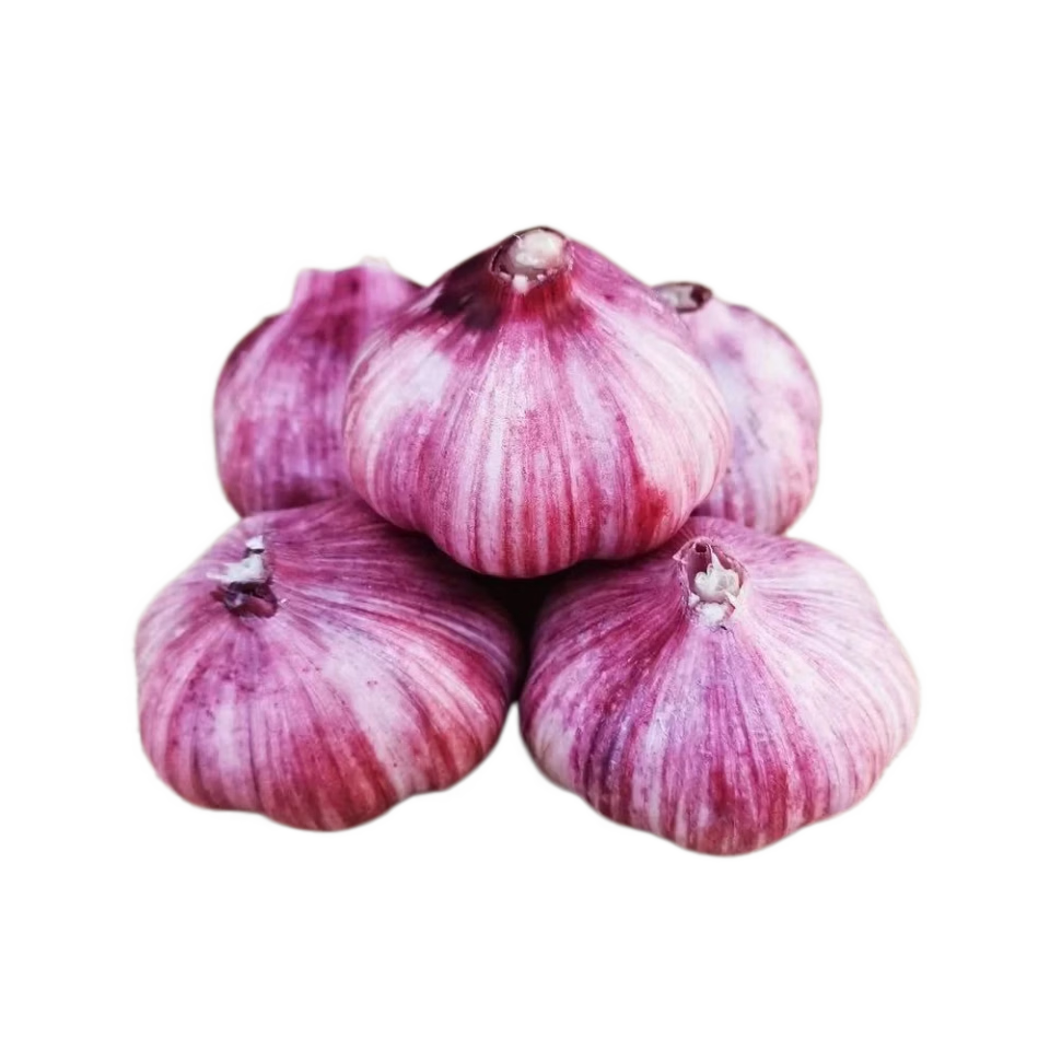 ���ڲ�����2026������������Ƥ����ʪ�����ͷ���������۴��� ����3������5-5.5cm 12.89Ԫ