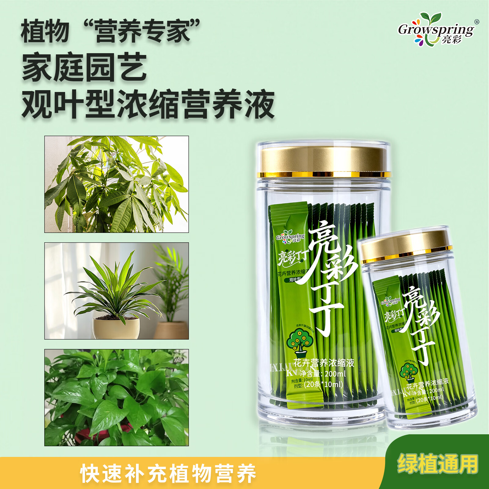 亮彩植物营养液观叶型浓缩液家用养花盆栽绿植花卉水培土培适用 观叶