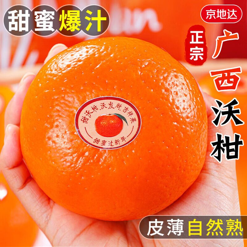 õ�� ���ϸ�ɽ�ָ� ����Ӧ��ˮ�� 5�ﾫƷ�� ����60-65mm ��4.5�� 8.9Ԫ