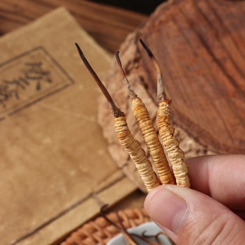 片仔癀冬虫夏草礼盒装 4根/克 头期虫草 送礼长辈滋补礼品 4000/6g/礼盒