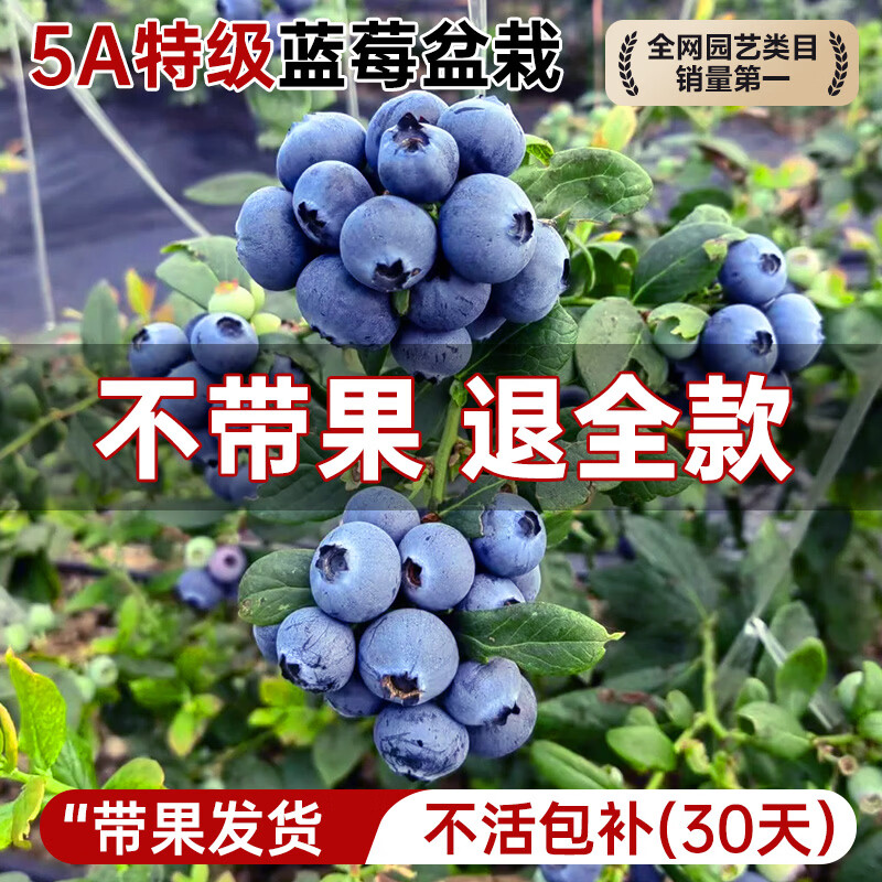 ���ڲ��������š�������������ݮ��������̨��ֲͥԺ���Ե��Թ���޽��ļ����� ������������5A����Ʒ-F6��ݮ-1������ 53Ԫ