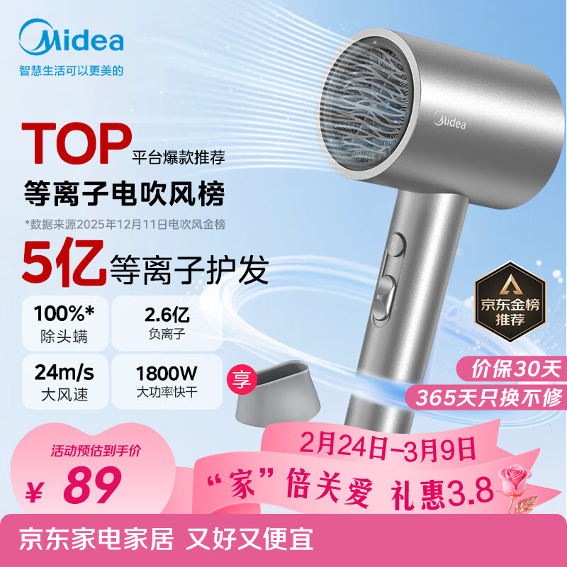 美的（Midea）5亿等离子护发电吹风 家用负离子护发吹风筒 1800W大功率快干便携吹风机 FJ308银 节日/生日礼物