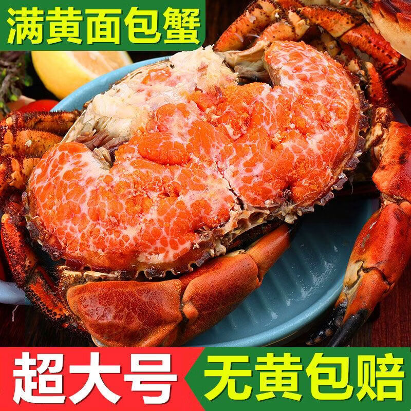 新鲜大面包蟹爱尔兰进口鲜活熟冻母蟹黄满超大黄金蟹螃蟹大皇帝蟹 老虎蟹【60-100g/只】*4只