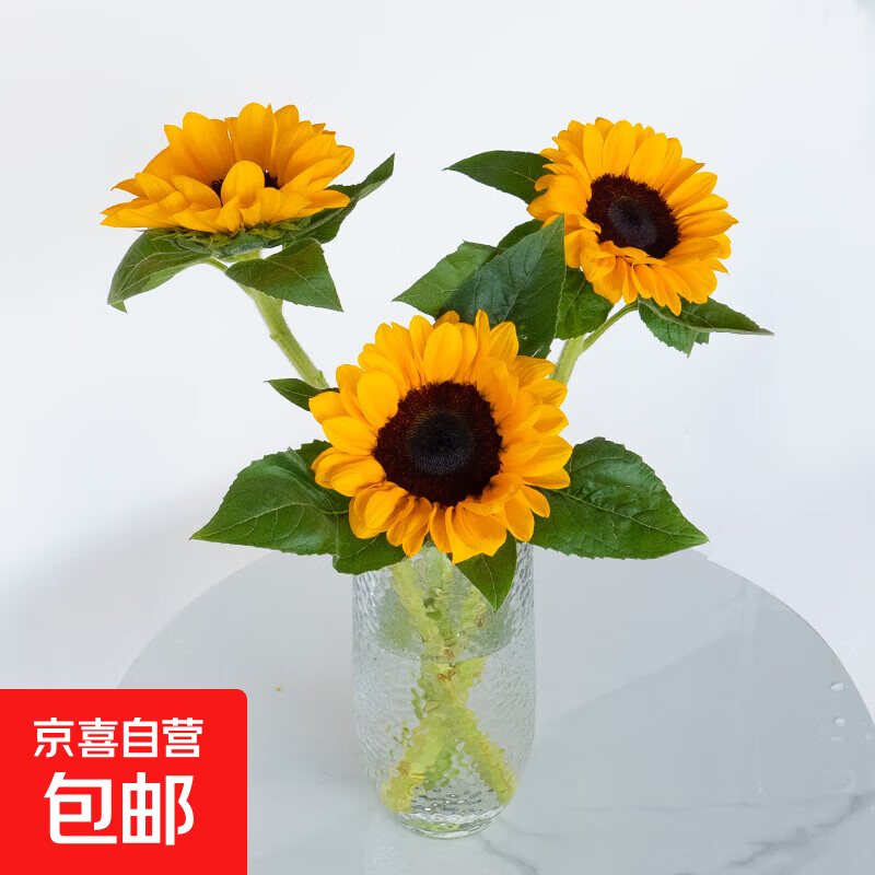 ��ר���������ʻ��������տ�3֦�ʻ�����ˮ���ʻ����ϻ���ֱ�� ���տ�3֦ 0.1Ԫ