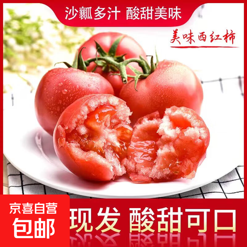 新鲜现摘沙瓤西红柿番茄即食沙拉轻食减脂买菜生鲜蔬菜京东快递 新鲜西红柿 5斤 （净重4.5斤） 单果60g起