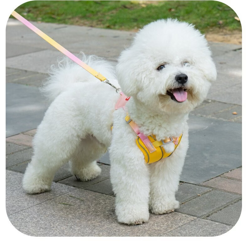 宠物用品夏季轻薄双肩带加固防挣脱胸背带狗狗专用直销批牵引绳 粉色+1.5米牵引绳 L码【建议胸围48-60cm】