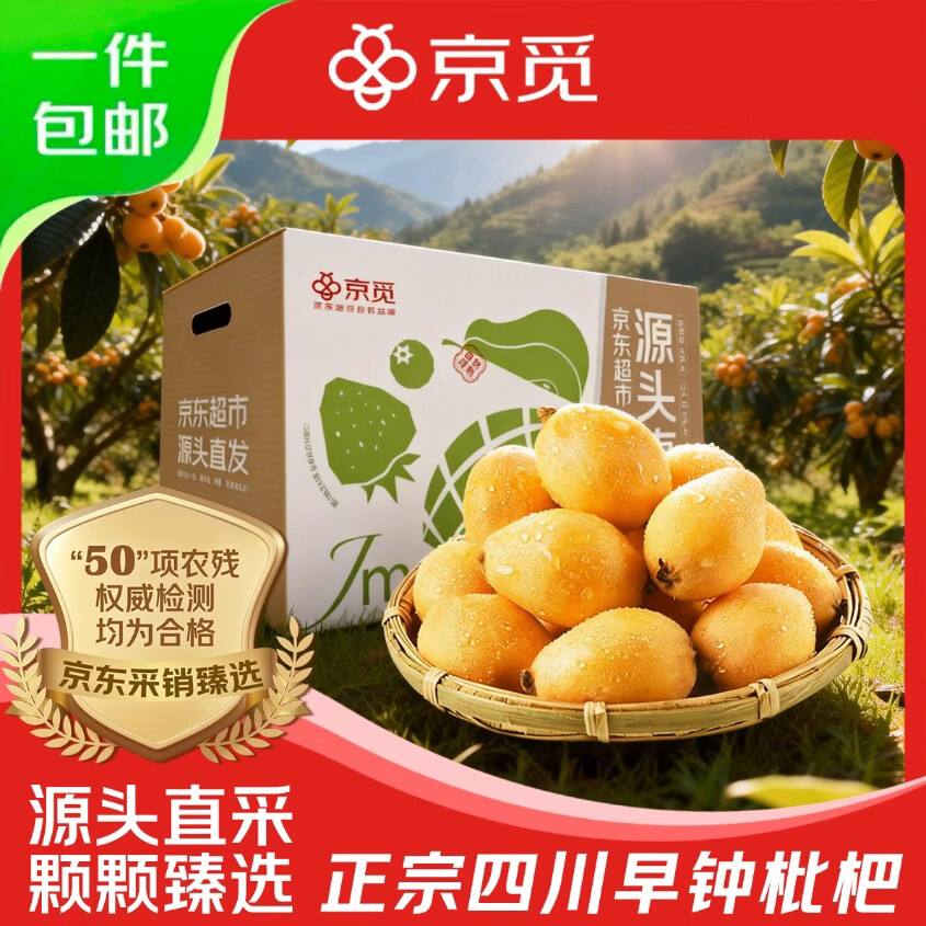 京觅四川米易  早钟枇杷净重2斤 单果30g+ 新鲜水果 源头直发包邮