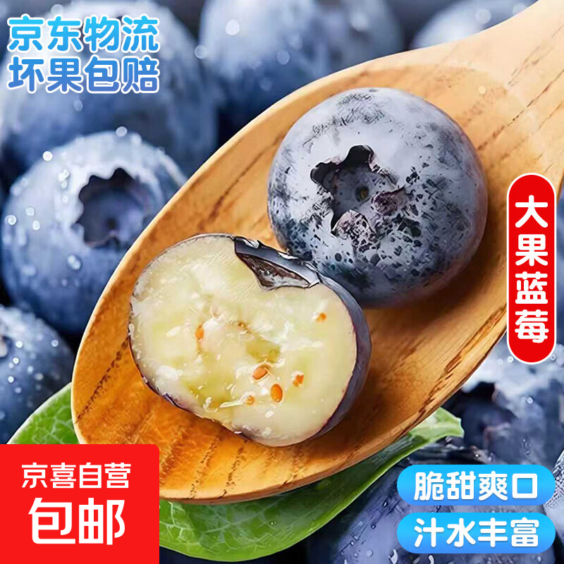 国产云南超大果蓝莓【多地次日达JD快递】精选蓝莓 新鲜孕妇水果 4盒装 多买多划算【70-90g/盒】 中果【单果15mm+】