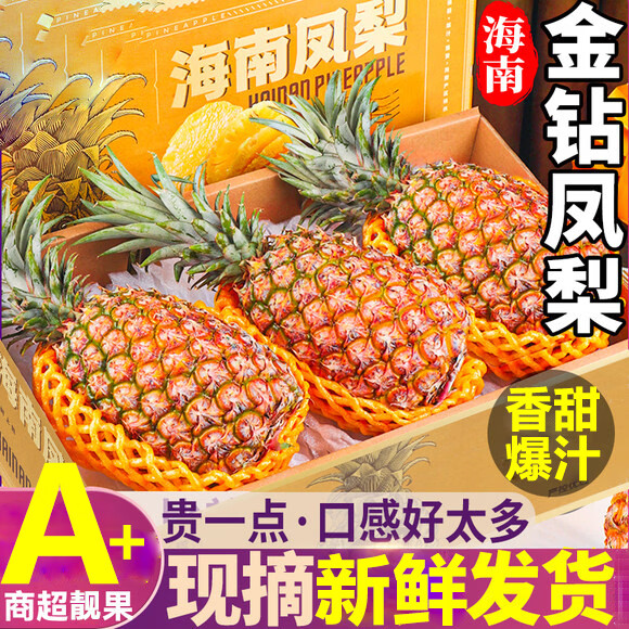 ��ӭ���ں��Ͻ�����桾����-��ش��մ�������ʱ�����˺ˮ������ 5�ﾫѡ����������𡿾�4.5�� 15.9Ԫ