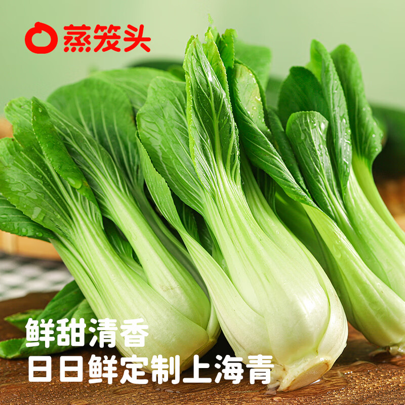 蒸笼头【纸皮青青菜包】儿童加热半成品速食早餐苏式手工薄皮青菜包子 纸皮青青菜包(240g4只)*2袋