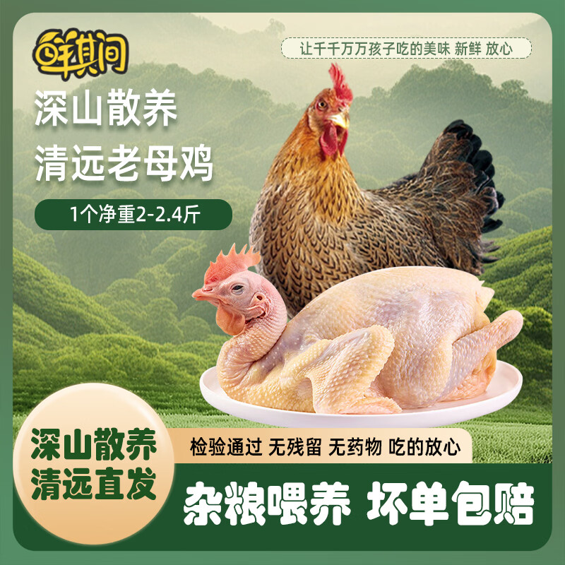 鲜其间【正宗清远鸡】老母鸡土鸡农家散养走地鸡项整只新鲜现杀黄油 老母鸡【二只2-2.4斤净重】深山散养/杂粮喂养自然香 京东冷链配送/深山散养365天/坏单包赔售后稳