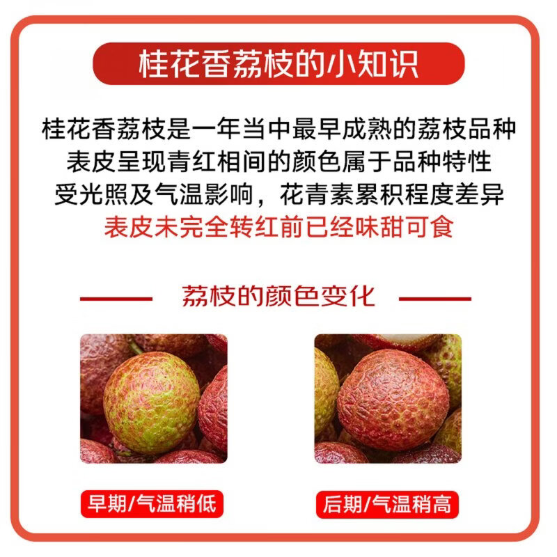 三萌果蔬 海南荔枝新鲜【JD顺丰空运-多地次日达】桂花香荔枝水果礼盒送礼 【80%人选·精选果】丨单果16g+ 3斤装【超值推荐-超划算】净2.5斤