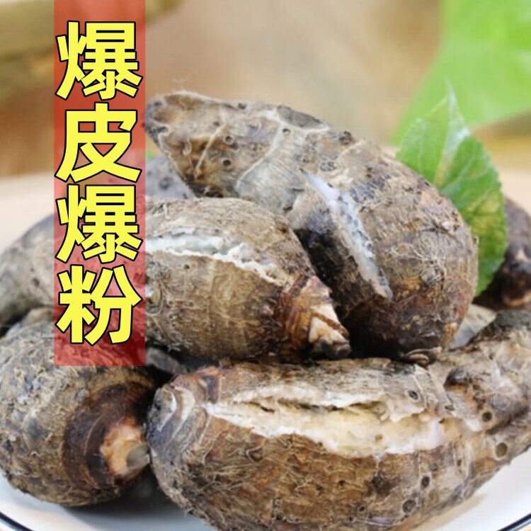 韶关乐昌张溪香芋炮弹芋头新鲜小芋头仔粉糯毛芋牛奶芋艿广东槟榔 10斤 3-8个一斤 新鲜挖带泥发货